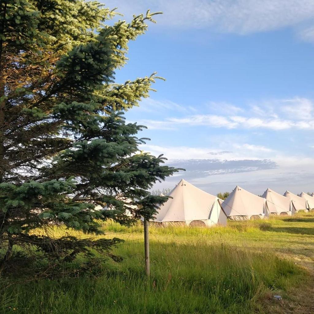 Godaland Glamping Hvolsvöllur Exteriér fotografie